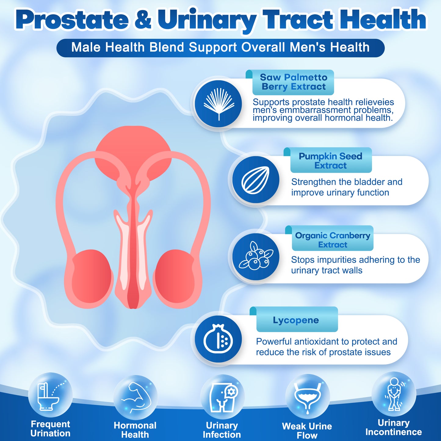 Probiotics for Men's Urinary and Prostate Health
